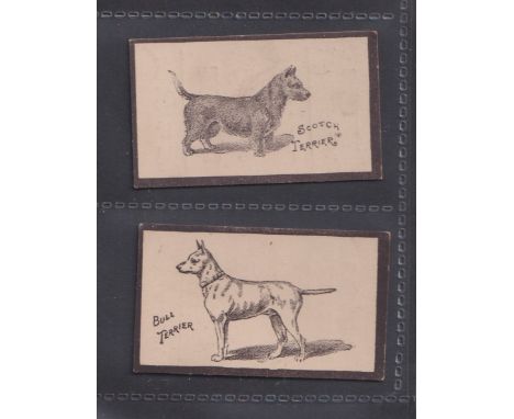 Cigarette cards, Goodbody's, Dogs (Multi-backed), two cards, Bull Terrier &amp; Scotch Terrier, both with 'Goodbody's Celebra