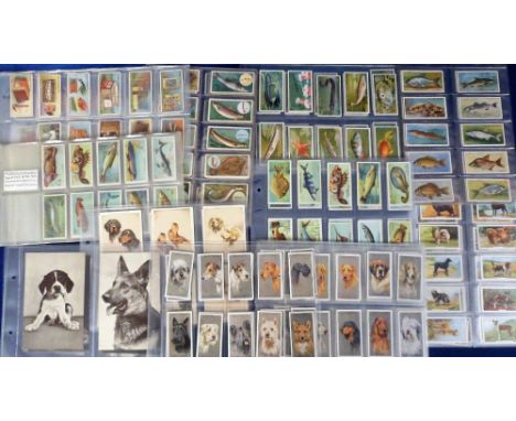 Cigarette &amp; trade cards, a collection of cards in sleeves representing approx. 40 different series, sets &amp; part sets 