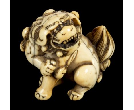 * Netsuke. A fine Japanese Meiji period ivory netsuke, carved as a shishi or dog of fo, 5cm high (Qty: 1)NOTESProvenance: Rod