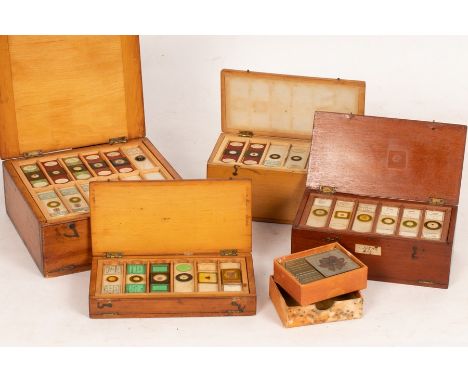 A quantity of microscope slides by Charles M Topping and others to include insect specimens, bird feathers, insect parts, one