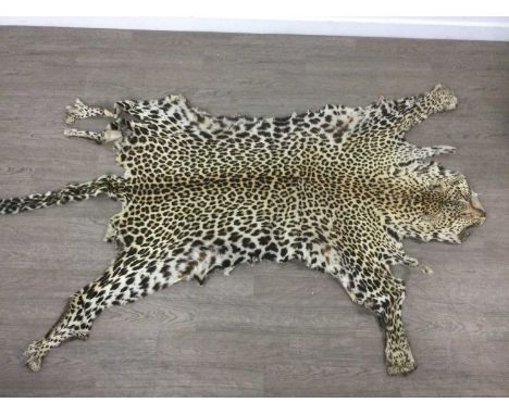 EARLY 20TH CENTURY TAXIDERMY LEOPARD SKIN, (PANTHERA PARDUS)  retaining some clawsPlease be aware that this item is subject t