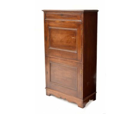 Mahogany cupboard, the moulded top over a single drawer and two locking panelled cupboard doors over a shaped frieze supporte