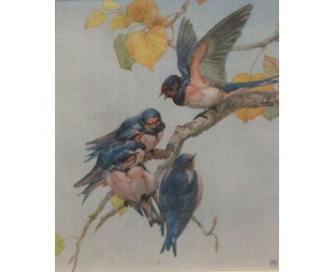 AFTER WINIFRED MARIE AUSTEN, RE (1876-1964, BRITISH) ‘Swallows’ print on silk 9 x 7ins