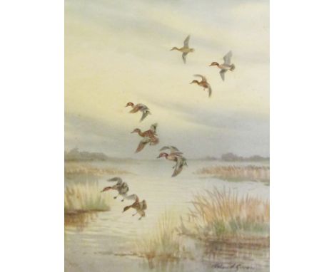 *ROLAND GREEN (1890-1972, BRITISH) Mallard Alighting on a Broad coloured print (artist’s proof with blind stamp), signed in p