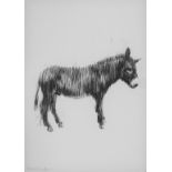 BAKER, CHARMING (born 1964) British (AR), Donkey,