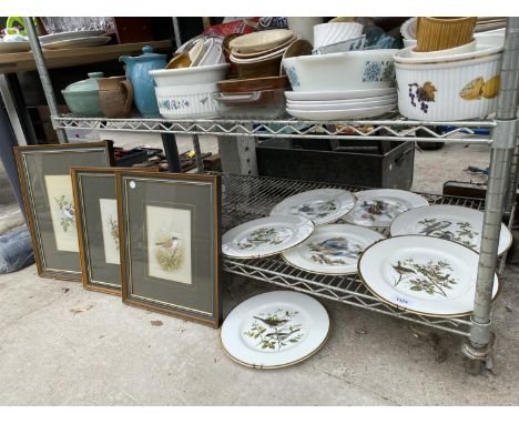 AN ASSORTMENT OF CERAMIC PLATES DEPICTING BIRDS AND FRAMED PRINTS OF BIRDS 