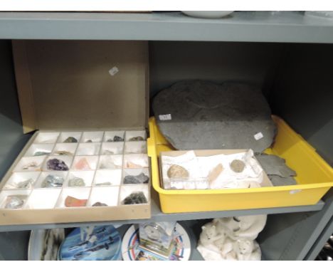 A selection of vintage semi precious stones minerals and fossils