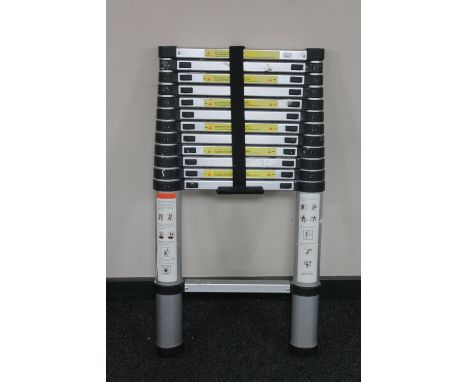 A metal telescopic ladder 