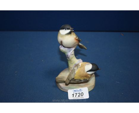 A Royal Worcester figure of Coal Tits by Eva Soper, no. 3376, 5'' tall.