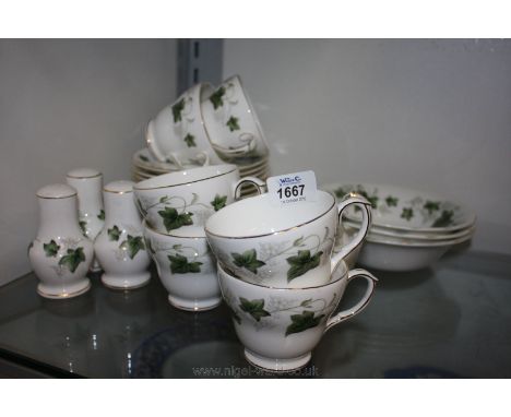 A quantity of Duchess 'Ivy' pattern china including cups, saucers, tea plates, sandwich plates etc