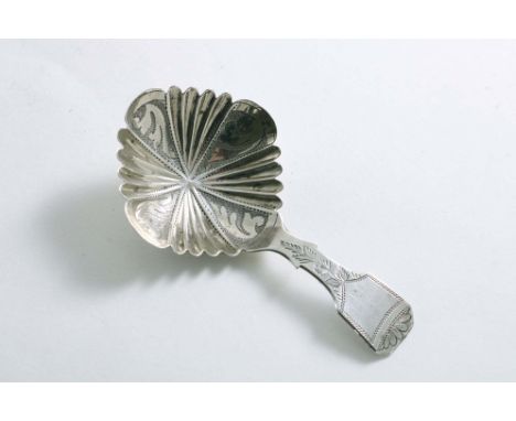 A WILLIAM IV ENGRAVED CADDY SPOON with a Fiddle stem and part-fluting radiating from the centre of the bowl, by Taylor &amp; 