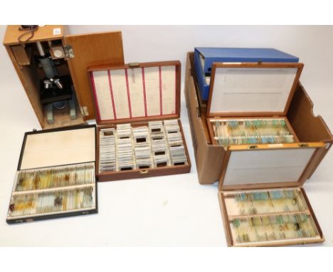 Opax microscope in wooden case, and a large collection of mid-late 20th century microscope and projector slides