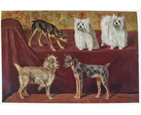Strebel,R.: Die deutschen Hunde und ihre Abstammung mit Hinzuziehung und Besprechung sämtlicher Hunderassen. 2 Bde. Mischaufl