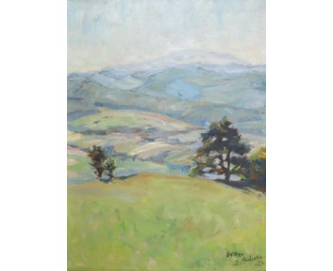 Aichele, Erwin: (1887 Höhefeld/Baden - Pforzheim-Eutingen 1974). "Belchen". Blick von der Höhe. Öl auf Karton 1923. 49 x 37 c