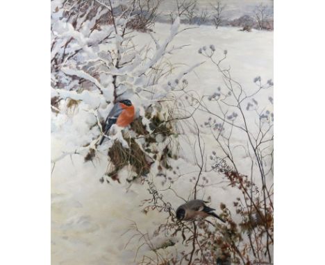 Aichele, Erwin: (1887 Höhefeld/Baden - Pforzheim-Eutingen 1974). "Wintertag". Gimpelpärchen in verschneiter Landschaft. Öl au