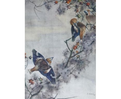 Aichele, Erwin: (1887 Höhefeld/Baden - Pforzheim-Eutingen 1974). Drei Finken auf bzw. bei Hagebuttensträuchern. Aquarell 1956