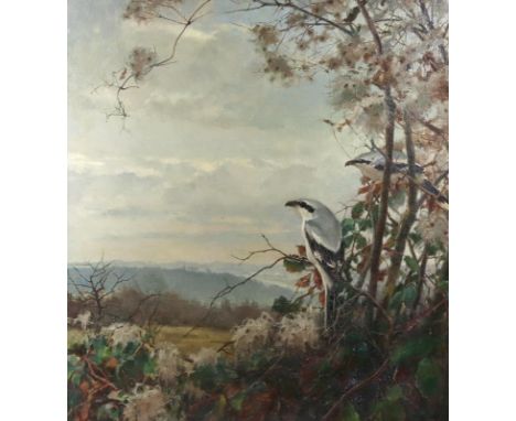 Aichele, Erwin: (1887 Höhefeld/Baden - Pforzheim-Eutingen 1974). "Spätherbst". Zwei Echte Würger auf einem Strauch überblicke