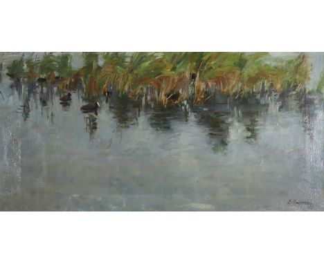 Aichele, Erwin: (1887 Höhefeld/Baden - Pforzheim-Eutingen 1974). Blässhühner am Uferrand. Öl auf Lwd. 1977. 32 x 63 cm. Unt. 