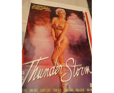 One sheet original adult American film poster Thunder Storm 104 x 68 cm
