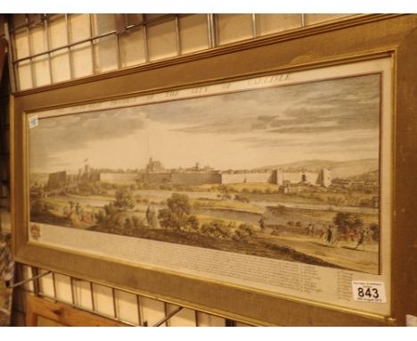 Large hand tinted lithograph 72 x 30 framed glazed of Carlisle mid 18thC views 