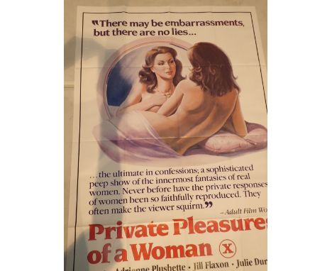 One sheet original adult American film poster Private Pleasures of a Woman 104 x 68 cm