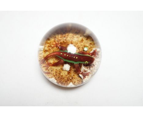 A Paul Ysart ‘salamander’ glass paperweight, Harland period, ‘PY’ cane, pebble ground, 6.5cm Provenance - bought from Spink a