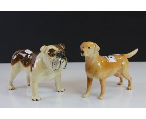 Beswick ceramic model of a Bulldog "Ch Basford British Mascot" & a Labrador "Solomon of Wendower"