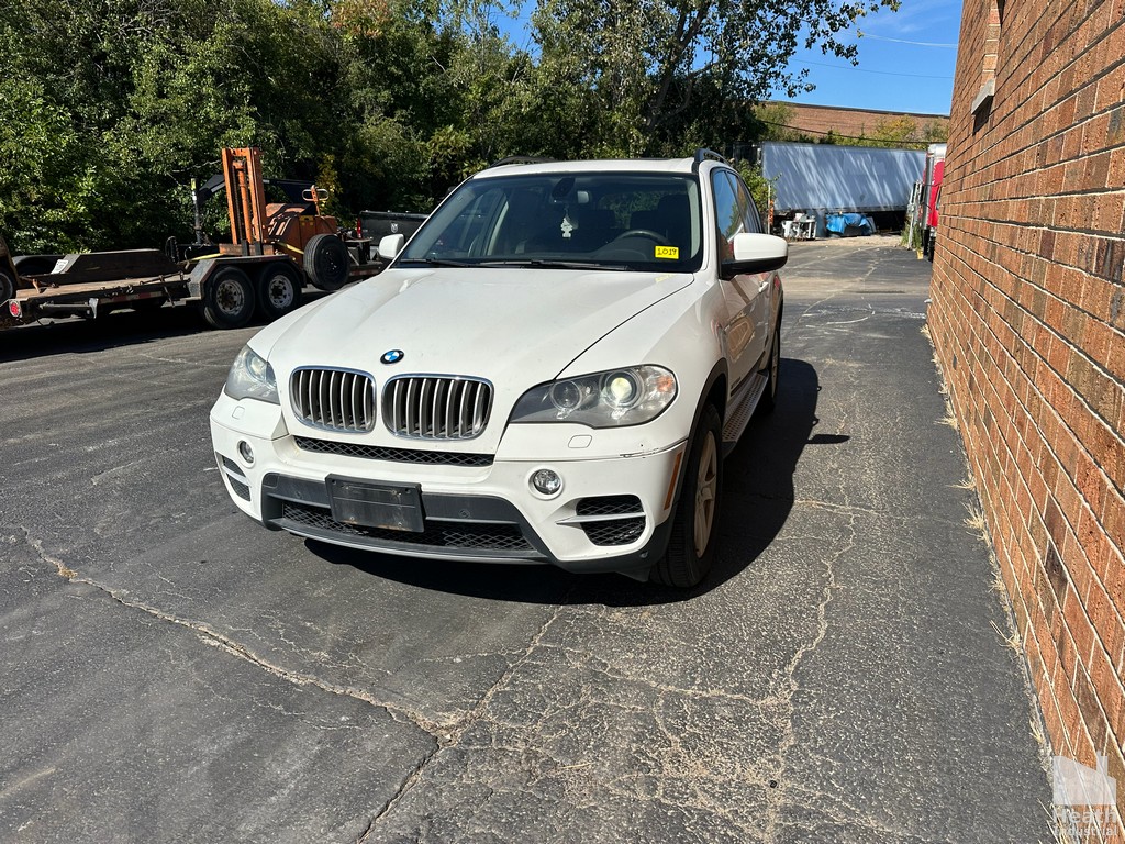 Lot 1019