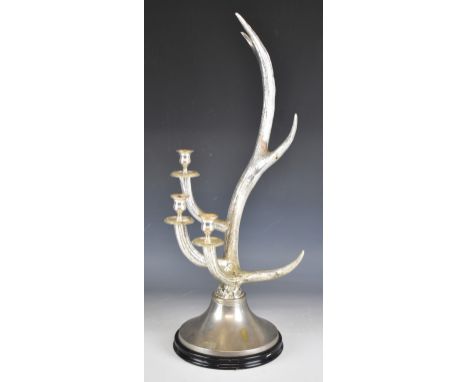 Bookworks figural deer antler three branch candelabra, H66cm