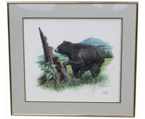 Don Balke (North Carolina, B. 1933) "Black Bear and Sugar Maple" Signed lower right. Original Watercolor on Paper. Provenance