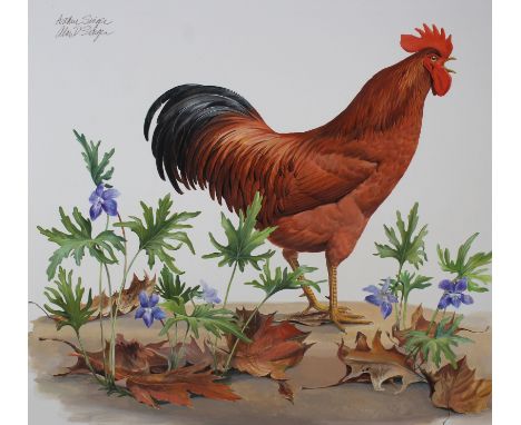 Arthur Singer (New York, 1917 - 1990) "Rhode Island Red and Violet" Signed lower right. Original Watercolor painting on Illus