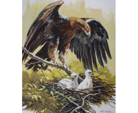 John Swatsley (American, B. 1937) "Spanish Imperial Eagle" Signed lower right. Original Oil painting on Illustration Board. P