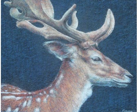 Keith Bowen (UK, B. 1950) "Fallow Deer" Signed lower right. Original First Day Cover Illustration. Chalk on Paper. Provenance