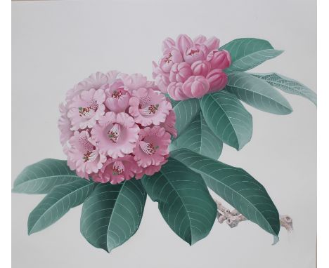 Zeng Xiaolian (B. 1939) "Rhododendron Rex" Original First Day Cover watercolor painting. Provenance: Collection of James A. H