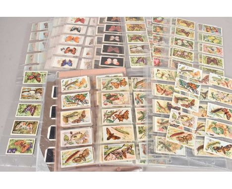 Butterfly and Moth Themed Cigarette Card Sets,  mainly stored in plastic sleeves, William Clarke & Sons Butterflies & Moths (