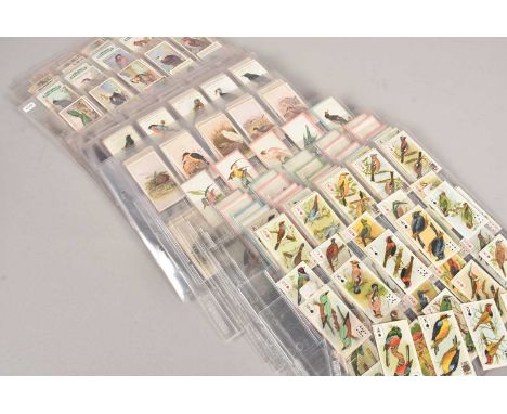 Ornithological Themed Cigarette Card Sets by Ogdens and Wills,  all stored in plastic sleeves, Wills Birds of the East (Ruby 