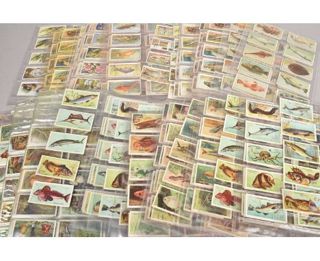 Marine and River Themed Cigarette Card Sets,  mainly stored in plastic sleeves, some duplication, Gallaher's The Zoo Aquarium