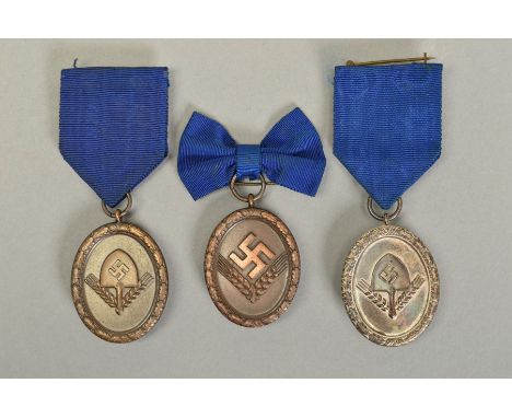 THREE WWII 3RD REICH RAD SERVICE MEDALS, Mens bronze (4 years), silver (12 years) awards with normal blue ribbon, split ring 