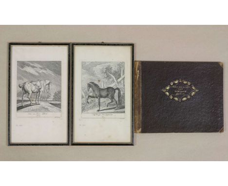 Johann Elias RIDINGER (1698-1767), Reis-Büchlein allerley Art Hunde vorstellend. Inventiert in Kupfer gebracht und verlegt vo