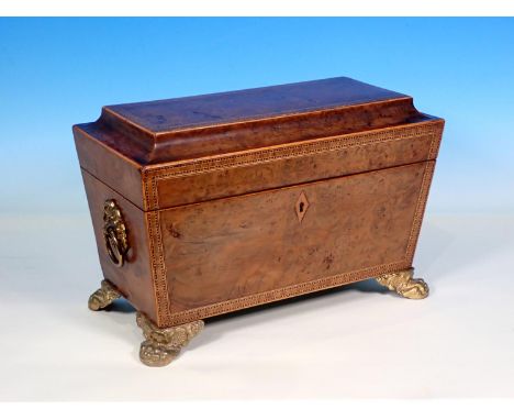 A Regency burr maple sarcophagus shaped Tea Caddy with satinwood stringing and inlay, on four lion paw feet with ring handles