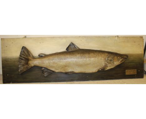 A large painted Salmon cast on painted backboard, bearing plaque inscribed "Caught by Peter Lowden on the River Annan Length 