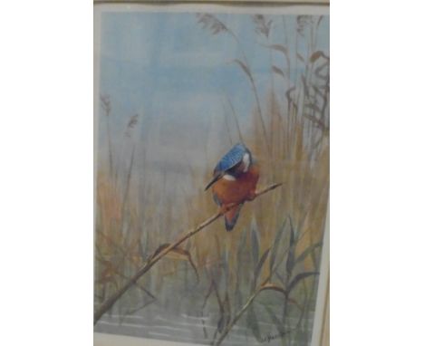 AFTER J C HARRISON "Kingfisher", colour print, signed in pencil lower right, artist's blind studio stamp lower left, together