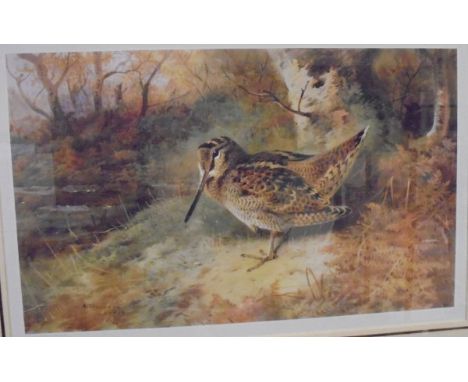 AFTER ARCHIBALD THORBURN "Woodcock", limited edition colour print, No'd. 282/400 CONDITION REPORTS This is a woodcock and not