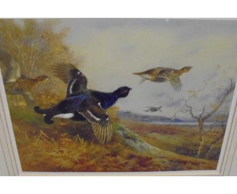 AFTER ARCHIBALD THORBURN "Grouse in flight", limited edition colour print No'd. 13/500 and AFTER ARCHIBALD THORBURN "Pheasant