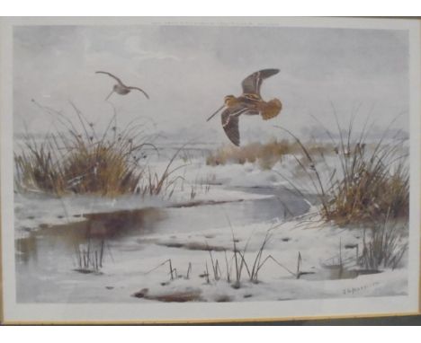 AFTER JOHN CYRIL HARRISON "Pheasant and Partridge in snow", colour print, together with AFTER JOHN CYRIL HARRISON "Snipe in s