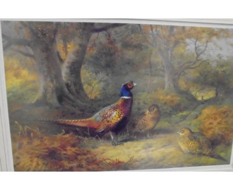 AFTER ARCHIBALD THORBURN "Pheasants in wood", colour print, limited edition No'd. 13/500 and AFTER ARCHIBALD THORBURN "Grouse