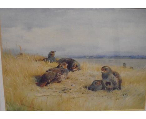 AFTER ARCHIBALD THORBURN "Ptarmigan in field", colour print, together with a further print AFTER ARCHIBALD THORBURN and vario