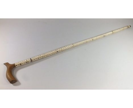 VERTEBRAE WALKING STICK.
A shark's vertebrae walking stick.
