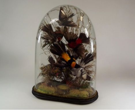 TAXIDERMY GROUP.
A 19th century taxidermy display of a group of five exotic birds in flight, under a glass dome. Height 61cm,