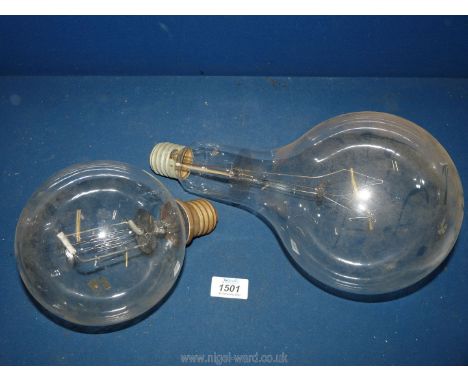 Two early light Bulbs with Edison screw fitting and appearing in good condition, one 12 1/2'' long, the other of virtually sp
